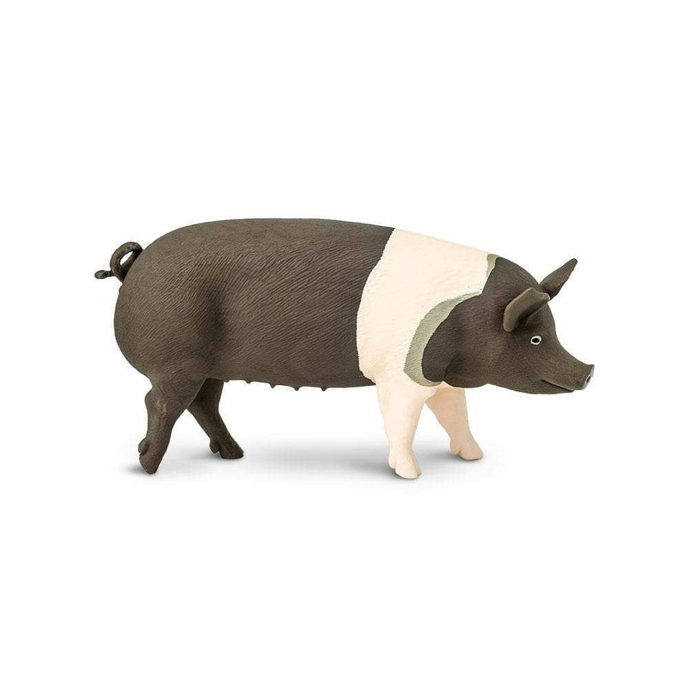 Safari Ltd Figurka dla dzieci Hampshire Pig