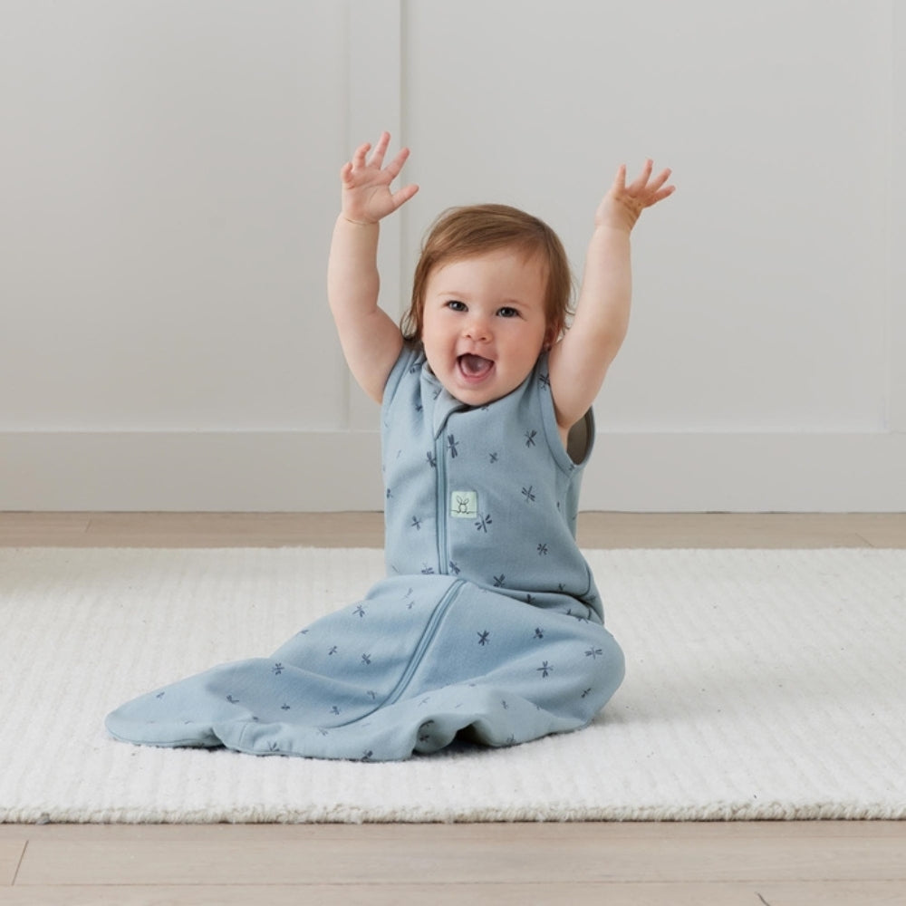 ergoPouch Śpiworek do spania Jersey Dragonflies 3-12M 1.0 TOG