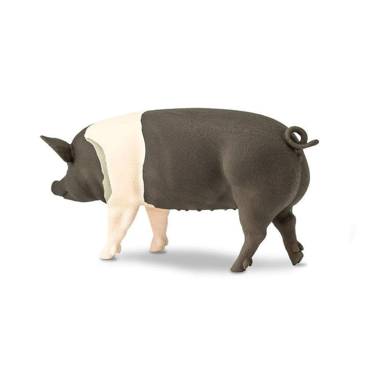 Safari Ltd Figurka dla dzieci Hampshire Pig