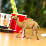 Safari Ltd Figurka dla dzieci Dromedary Camel