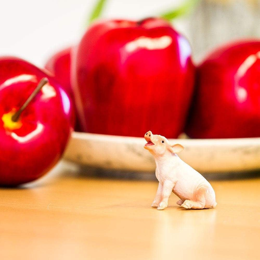 Safari Ltd Figurka dla dzieci Sitting Piglet