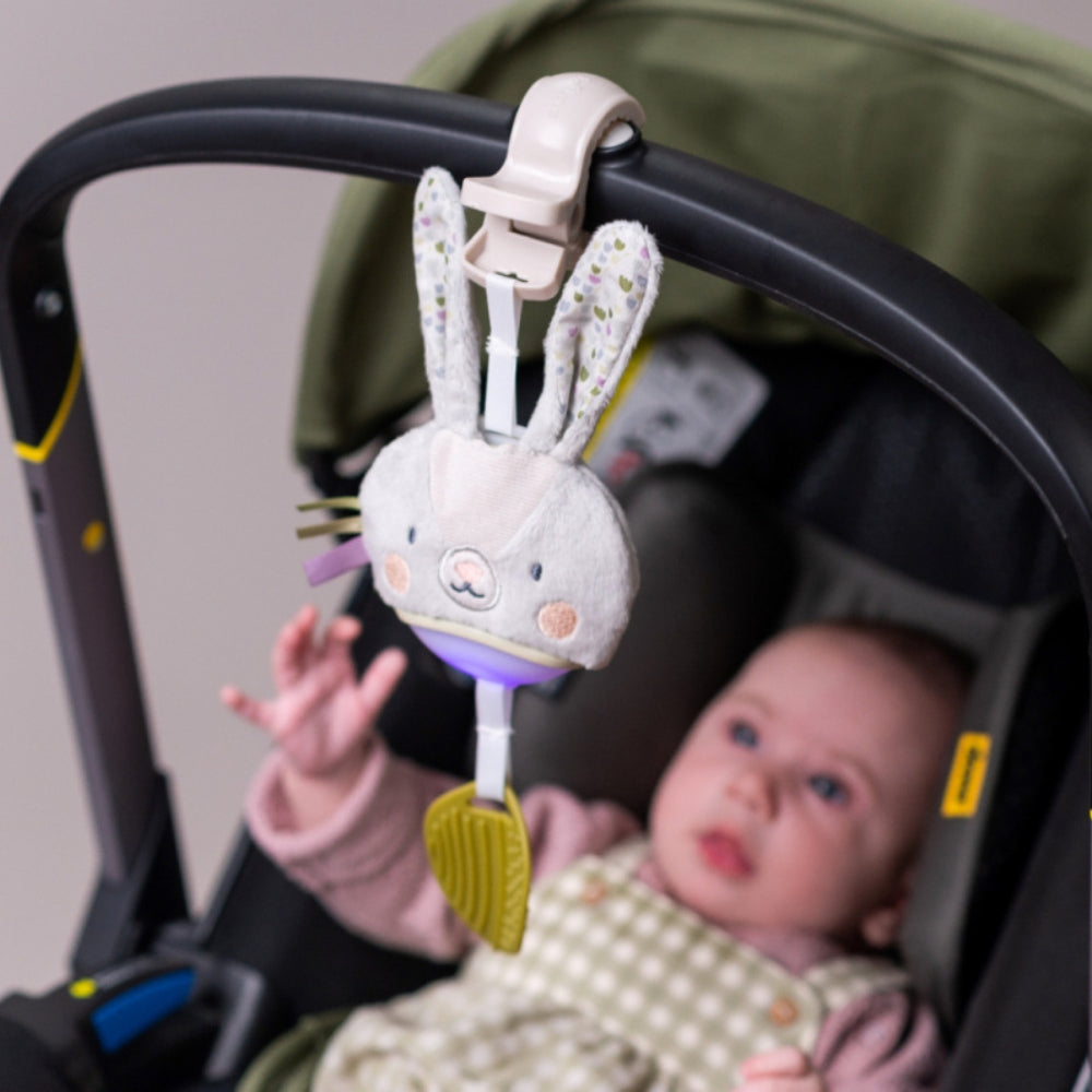 Taf Toys Pozytywka dla niemowląt Garden Królik