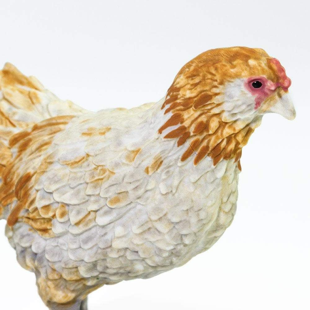 Safari Ltd Figurka dla dzieci Ameraucana Chicken