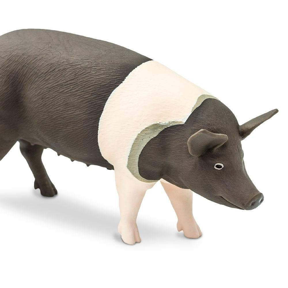 Safari Ltd Figurka dla dzieci Hampshire Pig