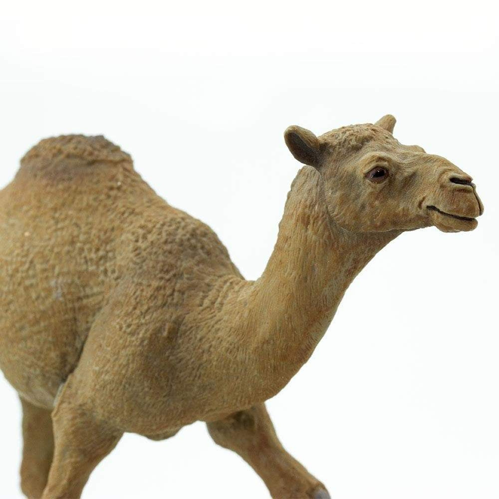Safari Ltd Figurka dla dzieci Dromedary Camel