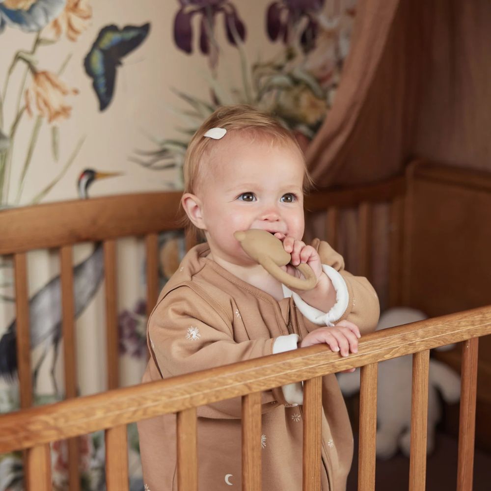 Jollein Gumowy Gryzak dla niemowlaka Teddy Bear Biscuit