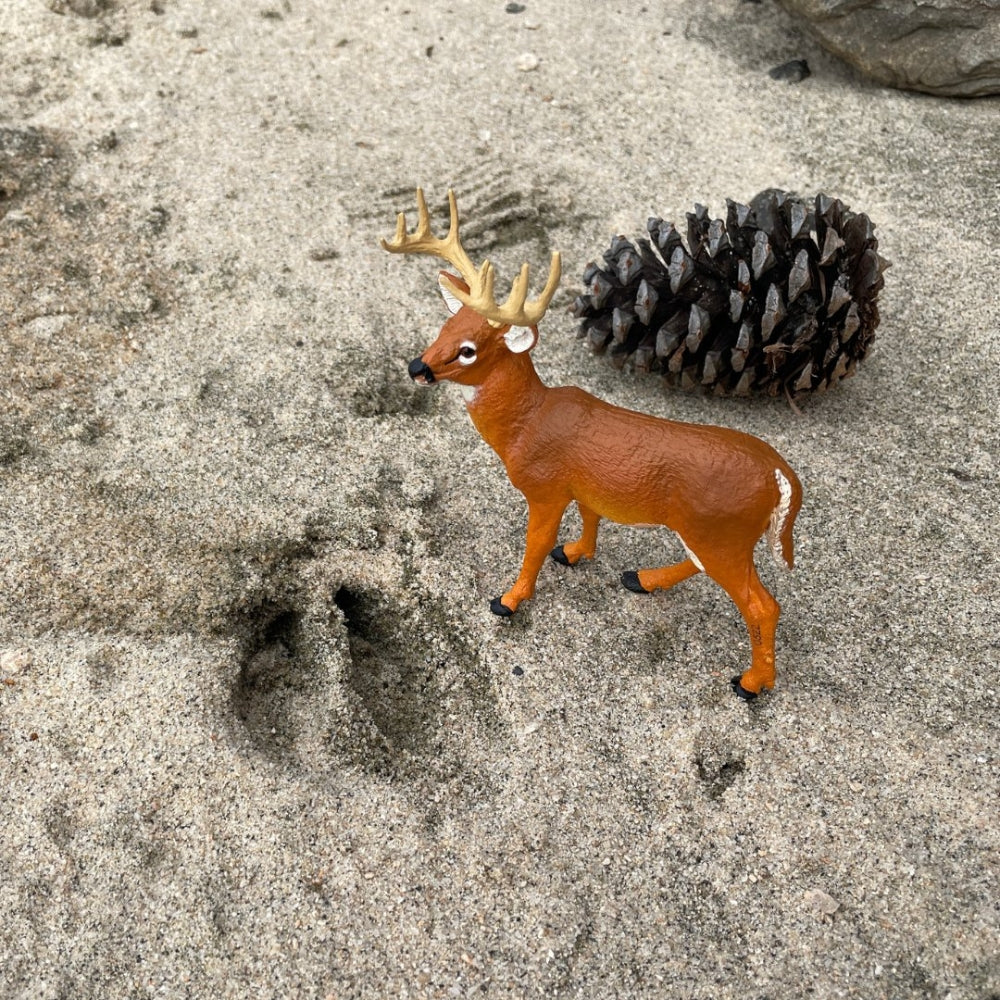 Safari Ltd Figurka dla dzieci Whitetail Bug