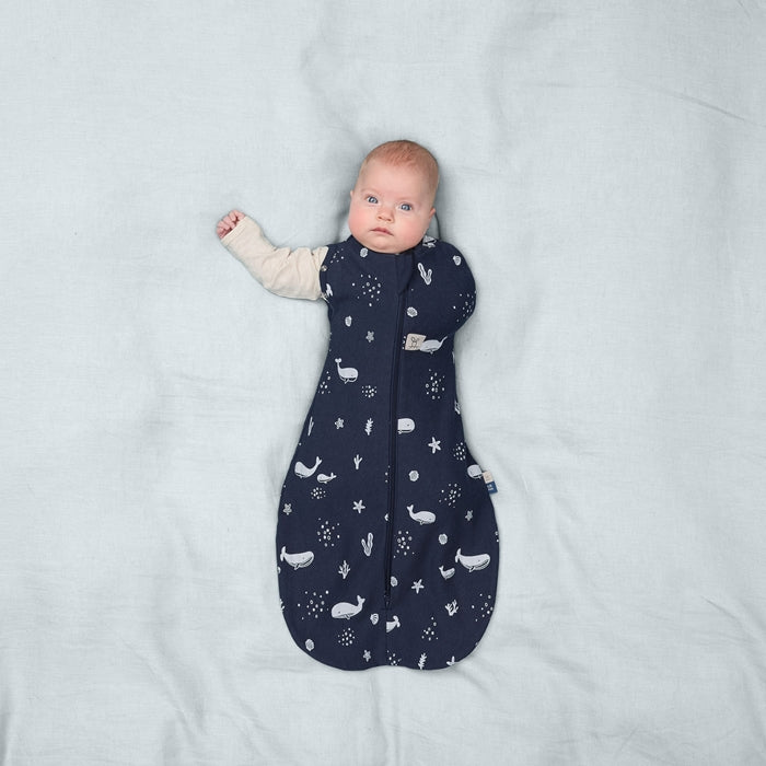 ergoPouch Otulacz Śpiworek 3-6M 1.0TOG Whale
