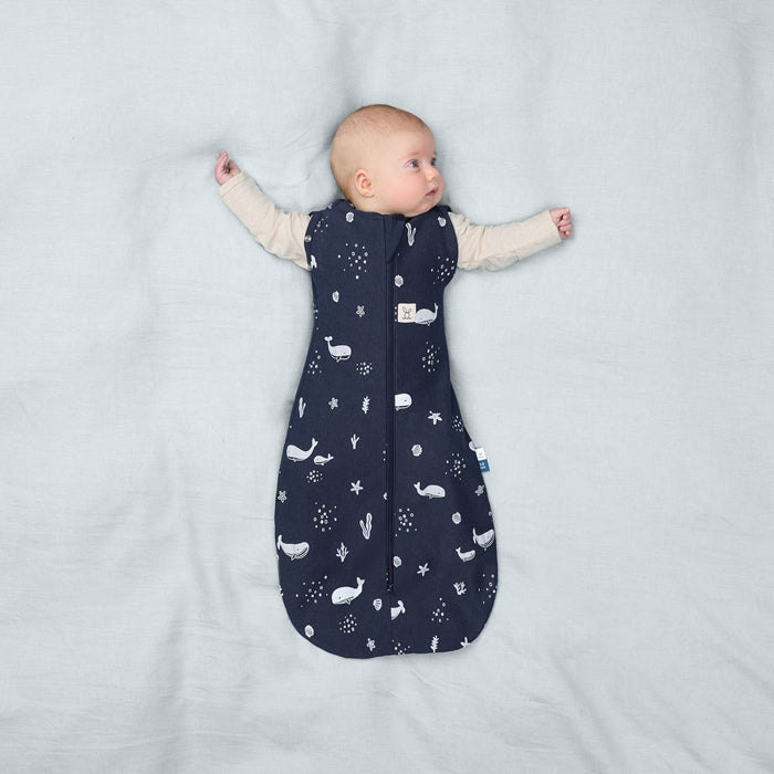 ergoPouch Otulacz Śpiworek 3-6M 1.0TOG Whale