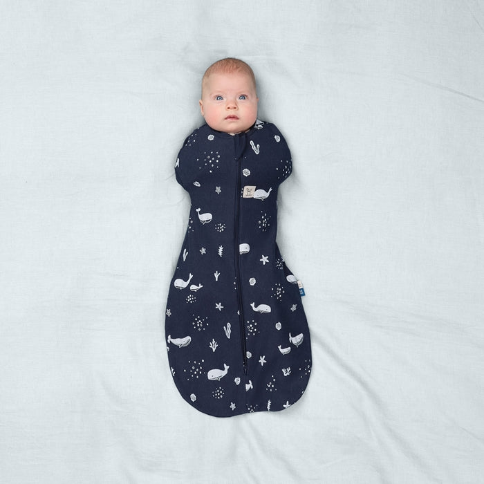 ergoPouch Otulacz Śpiworek 3-6M 1.0TOG Whale