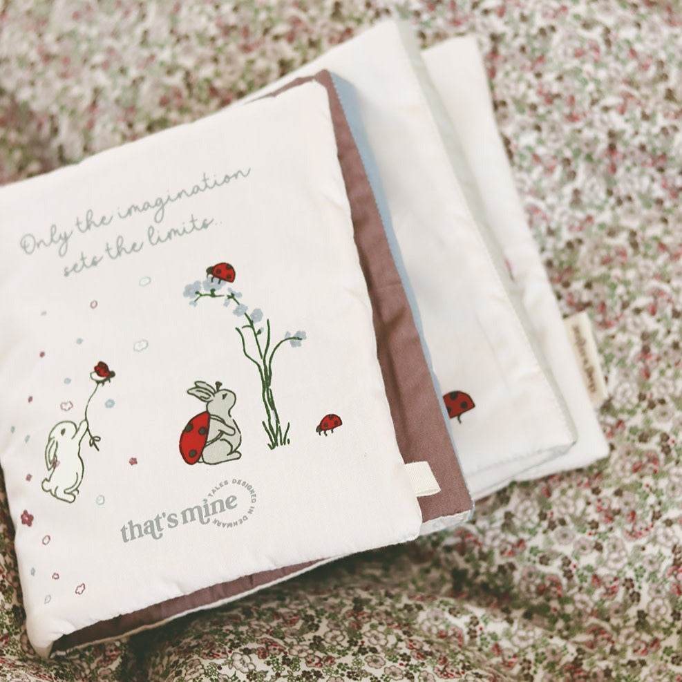 That's mine Książeczka dla niemowlaka Kimmey Book Ladybug