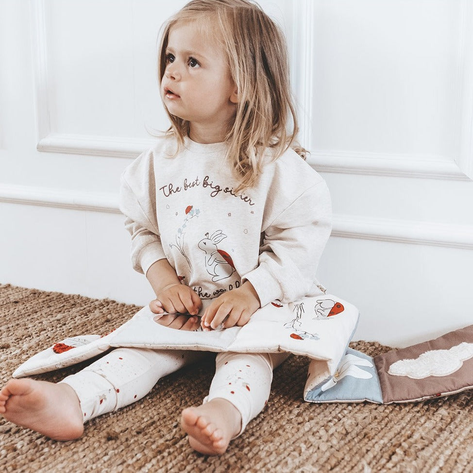 That's mine Książeczka dla niemowlaka Kimmey Book Ladybug