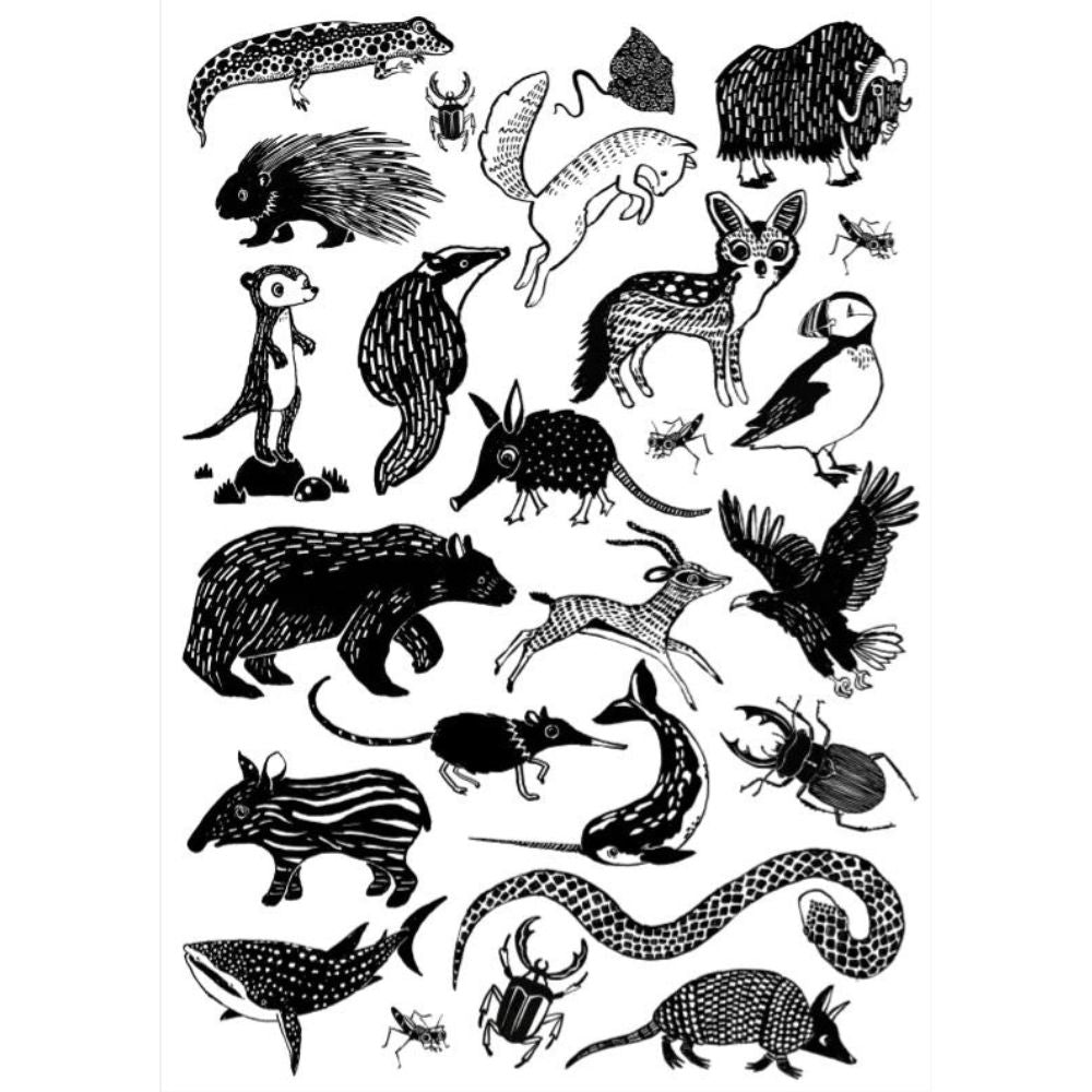 Petit Monkey Tatuaże dla dziecka Black animals