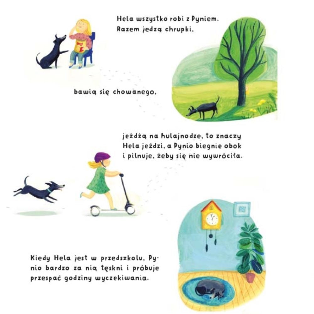 Wydawnictwo Dwukropek Książka dla dzieci Gdzie jest Pulpo?