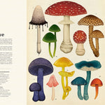 Dwie Siostry Fungarium Muzeum Grzybów