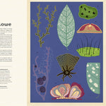 Dwie Siostry Fungarium Muzeum Grzybów