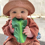 Oli&Carol Gryzak dla niemowlaka Jarmuż Kendall