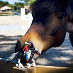 Safari Ltd Figurka Koń Tinker z jeźdźcem Audrey