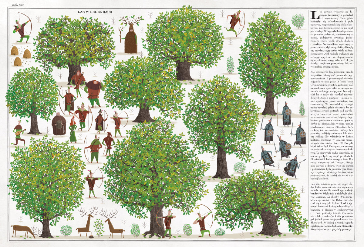 Wydawnictwo Dwie Siostry Książka dla dzieci Drzewa