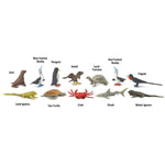 Safari Ltd Figurki zwierząt Zestaw figurek Montessori Zwierzęta wysp Galapagos Tuba