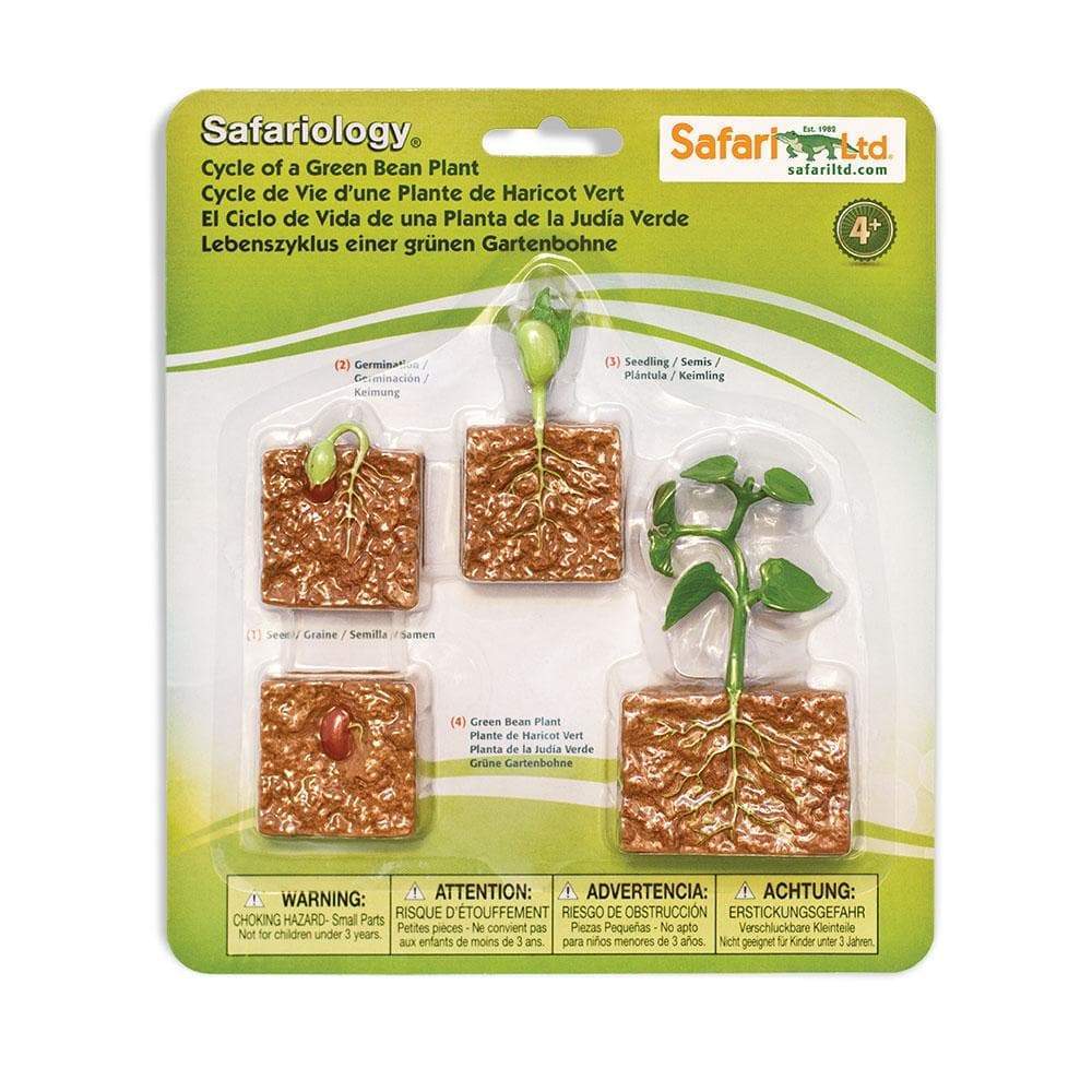 Safari Ltd Zestaw figurek Montessori Cykl rozwojowy fasoli - 4kidspoint.pl
