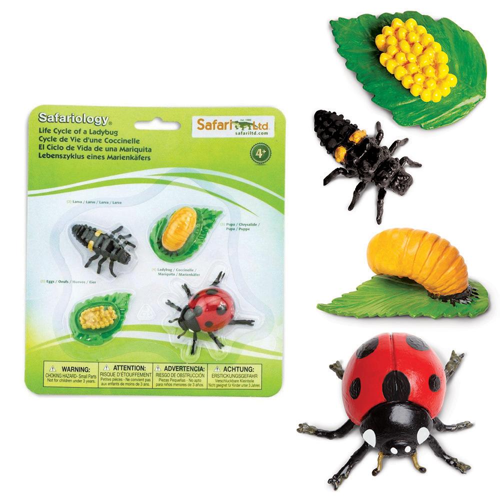 Safari Ltd Zestaw figurek Montessori Cykl życia biedronki