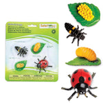 Safari Ltd Zestaw figurek Montessori Cykl życia biedronki