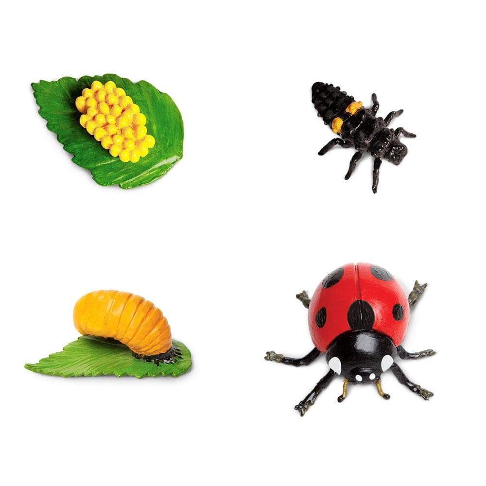 Safari Ltd Zestaw figurek Montessori Cykl życia biedronki