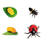 Safari Ltd Zestaw figurek Montessori Cykl życia biedronki