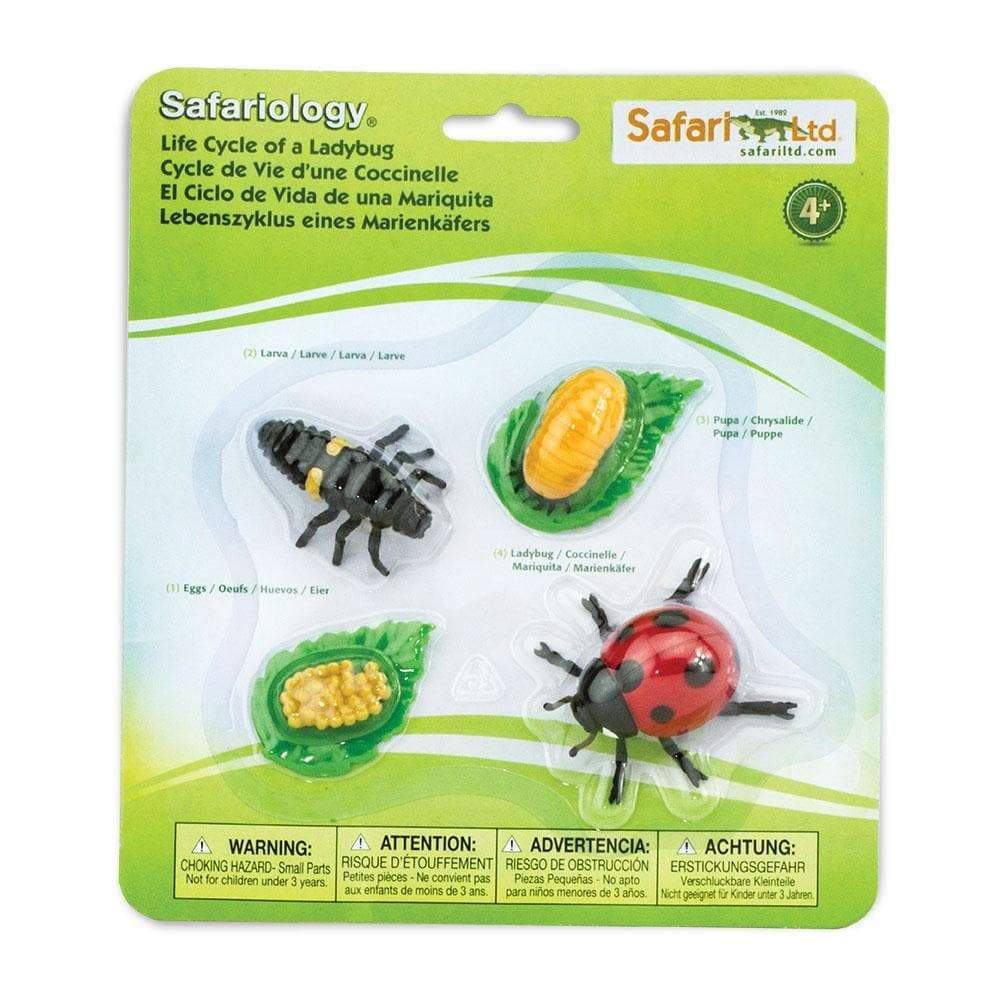 Safari Ltd Zestaw figurek Montessori Cykl życia biedronki