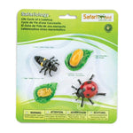 Safari Ltd Zestaw figurek Montessori Cykl życia biedronki