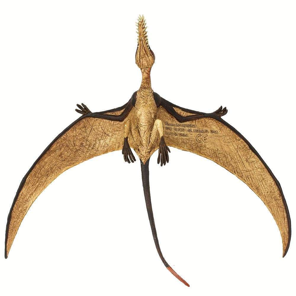 Safari Ltd Figurka Pterozaur Ramforynch - 4kidspoint.pl