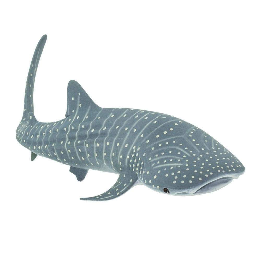 Safari Ltd Figurka Rekin wielorybi