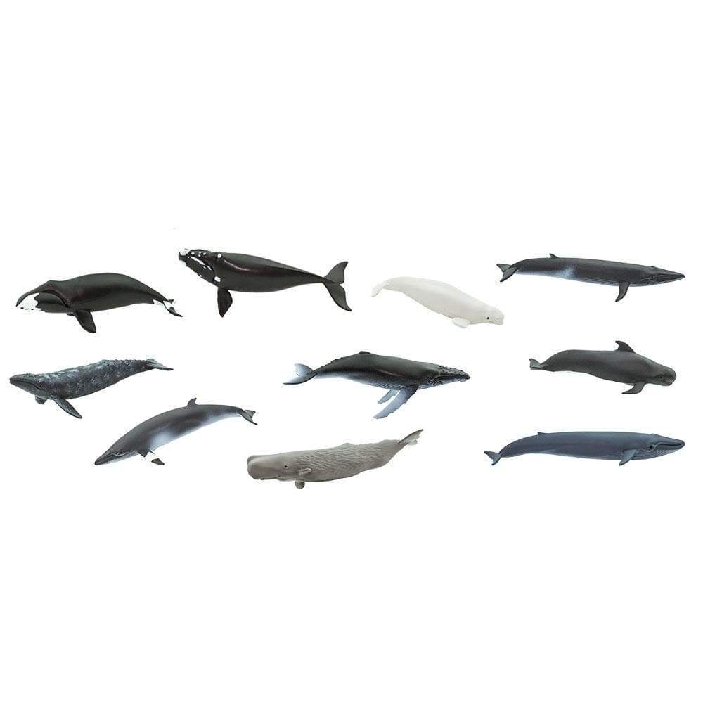 Safari Ltd Zestaw figurek Montessori Wieloryby