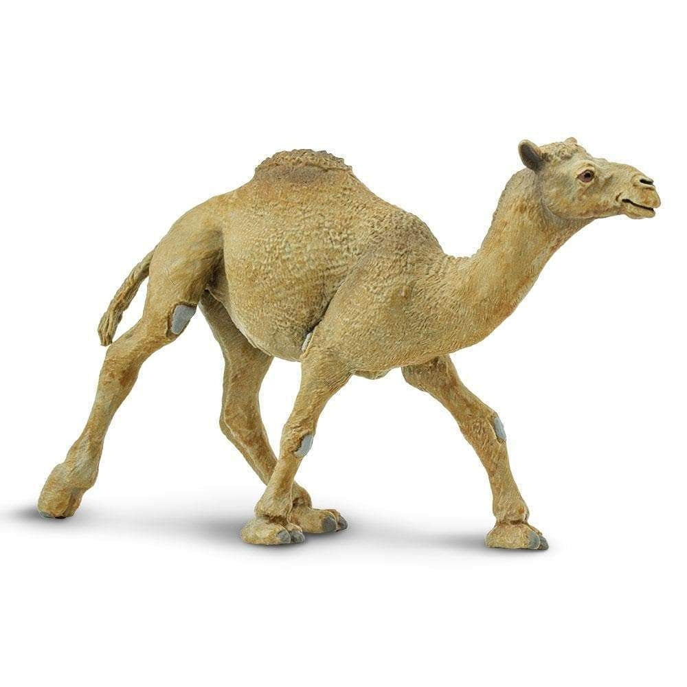 Safari Ltd Figurka dla dzieci Dromedary Camel