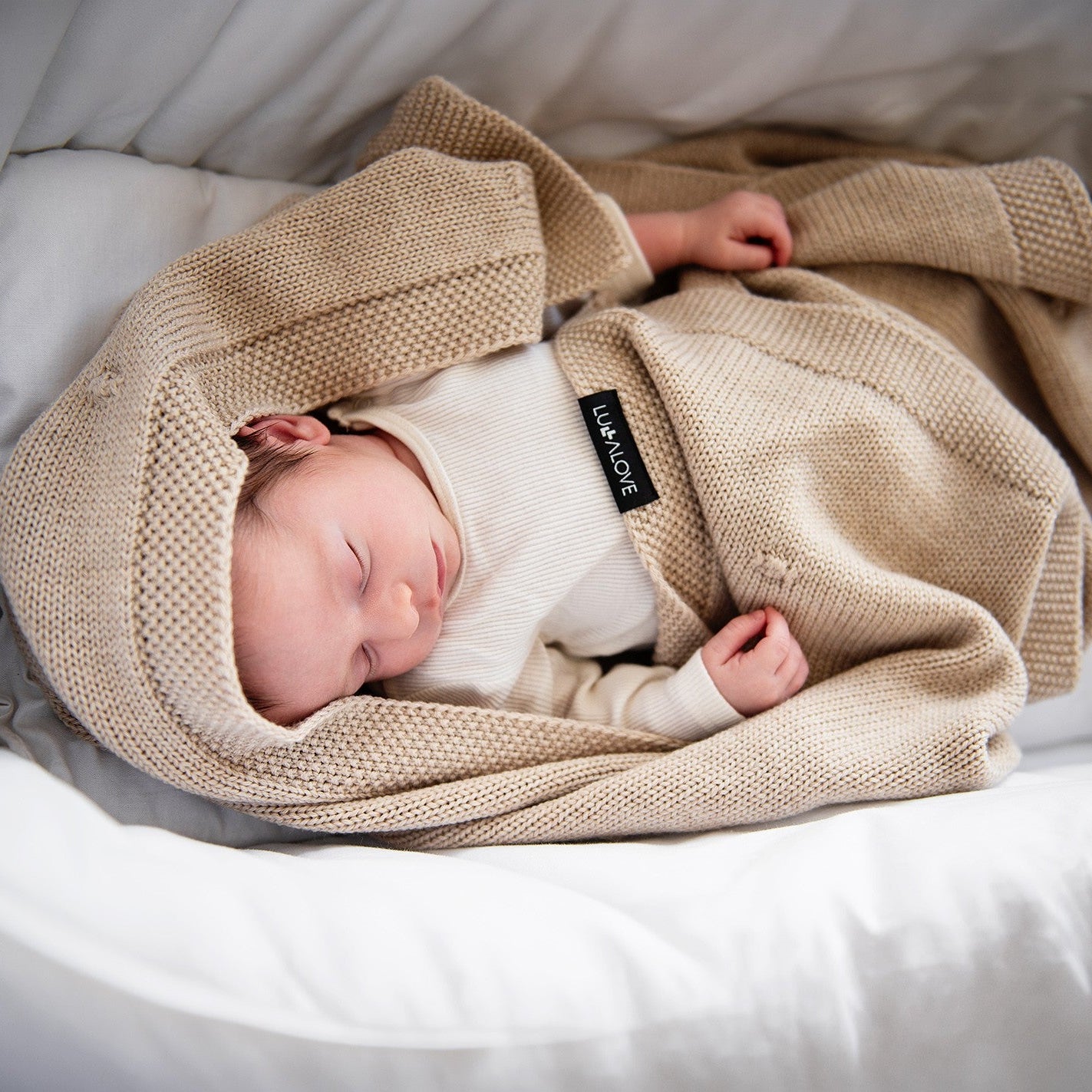 Slajd obrazu