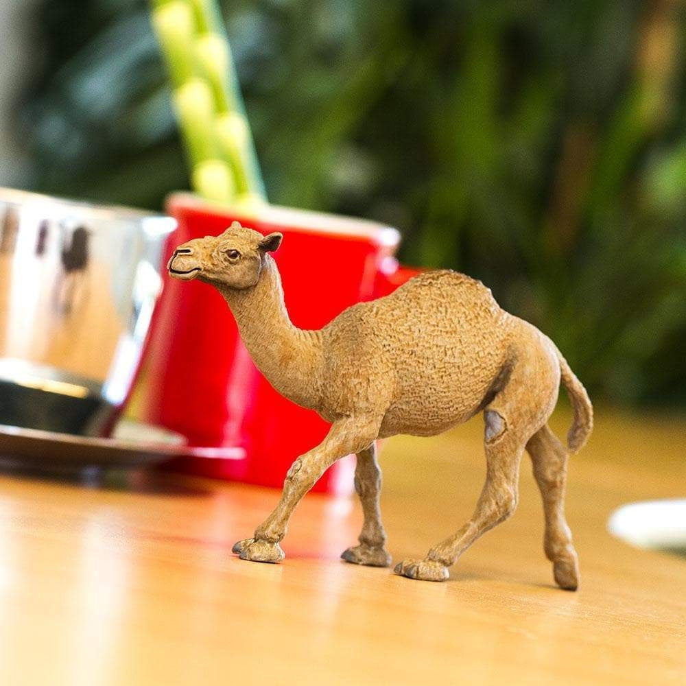 Safari Ltd Figurka dla dzieci Dromedary Camel