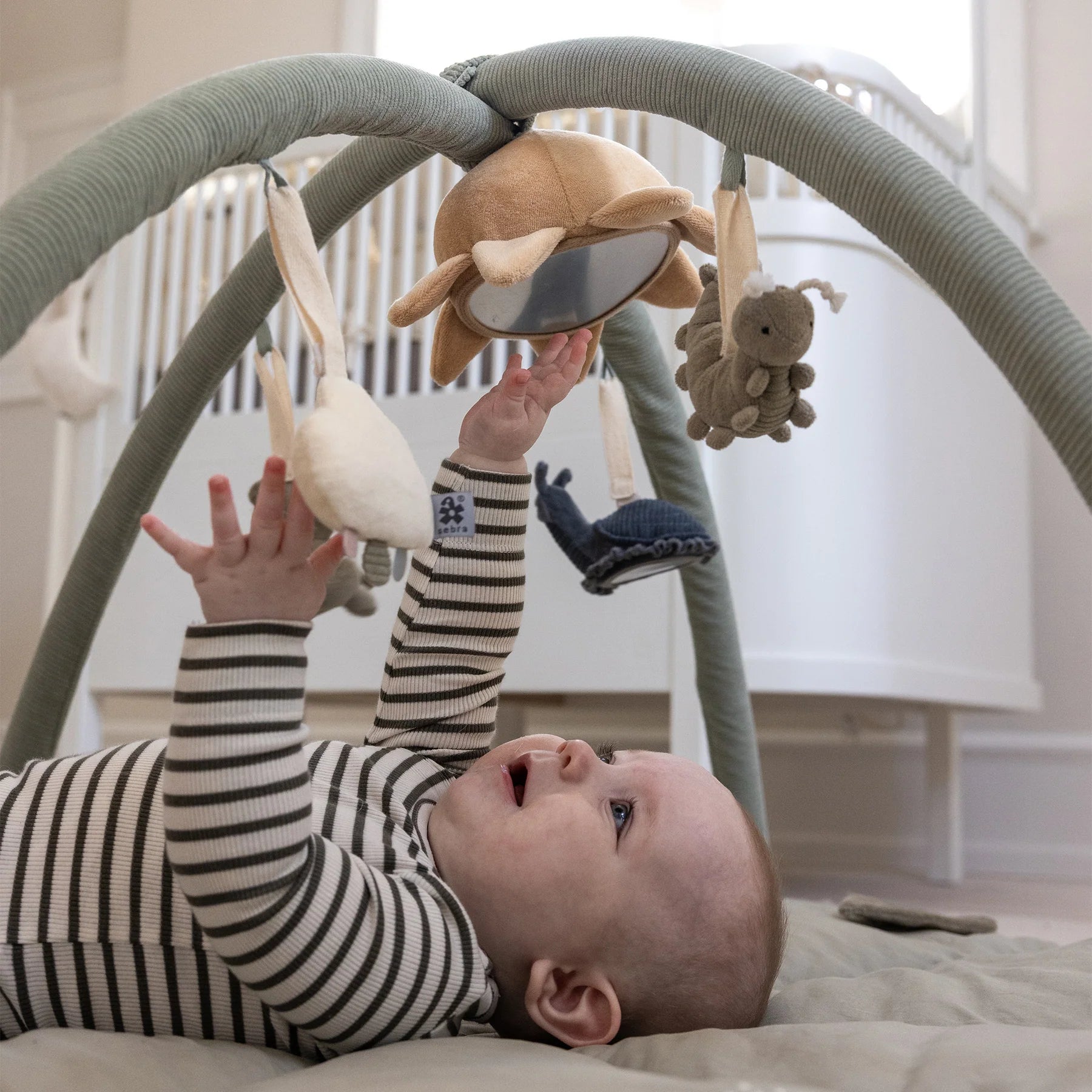 Sebra Zabawki sensoryczne dla niemowląt zestaw 3 szt. Żaba/Ślimak/Pszczoła