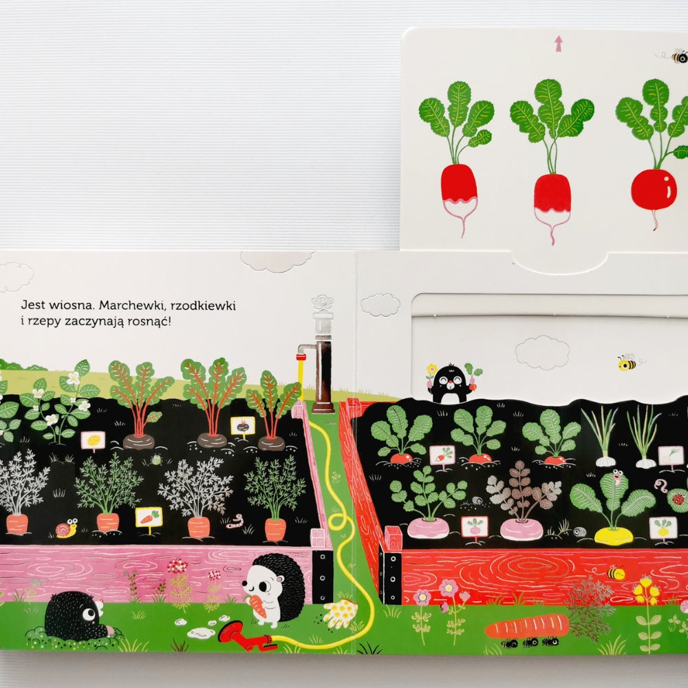 Harperkids Książka dla dzieci akademia mądrego dziecka Niesamowity spacer Ogródek warzywny