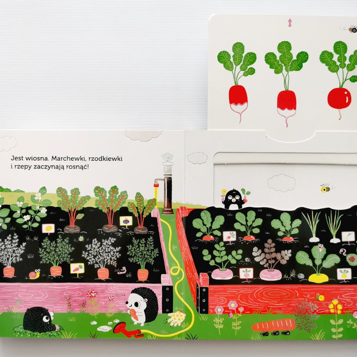 Harperkids Książka dla dzieci akademia mądrego dziecka Niesamowity spacer Ogródek warzywny