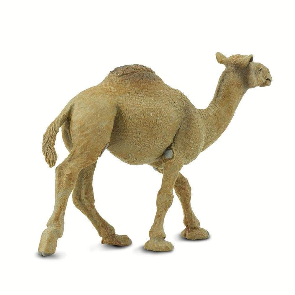 Safari Ltd Figurka dla dzieci Dromedary Camel