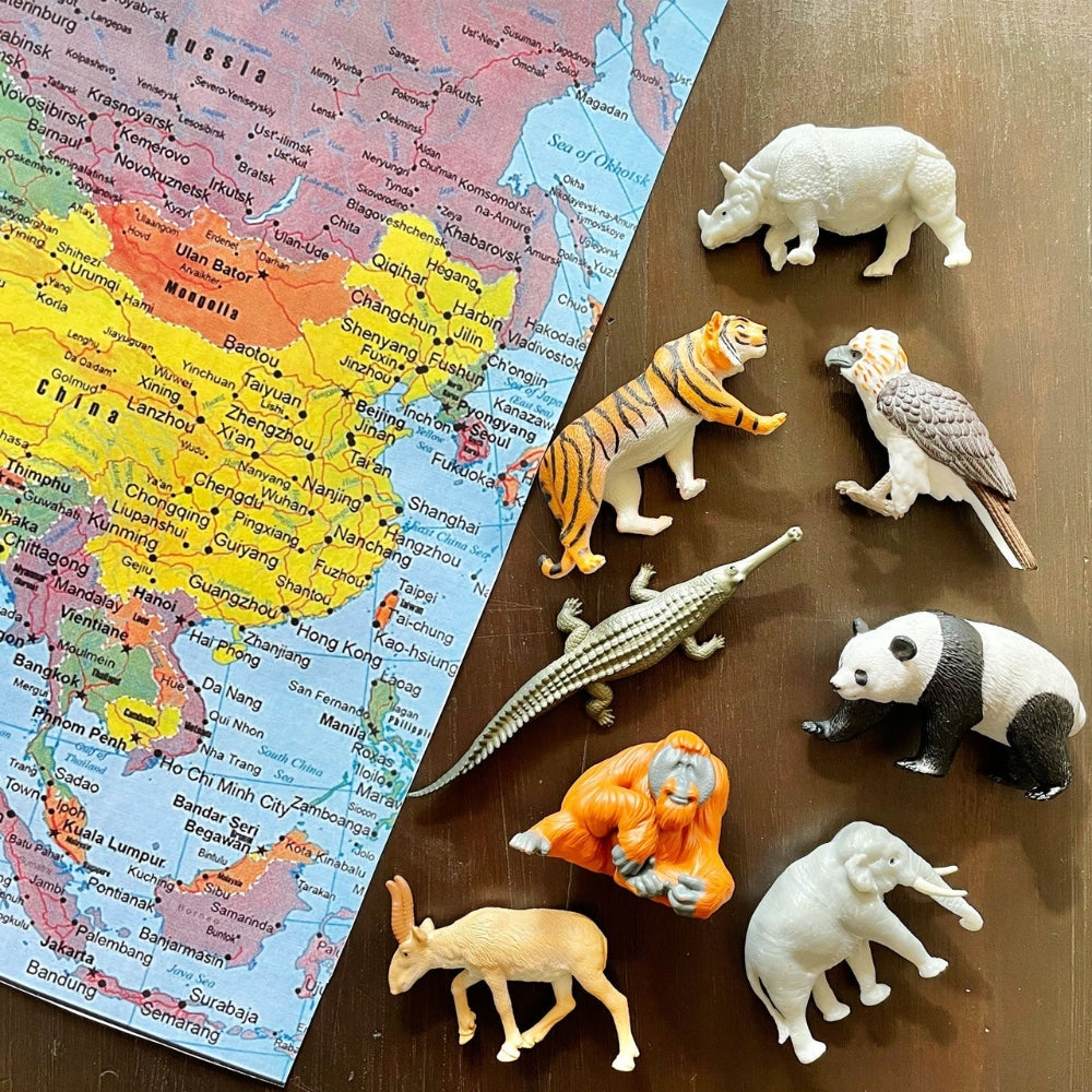 Safari Ltd Figurki zwierząt w tubie Montessori Zwierzęta Azjatyckie