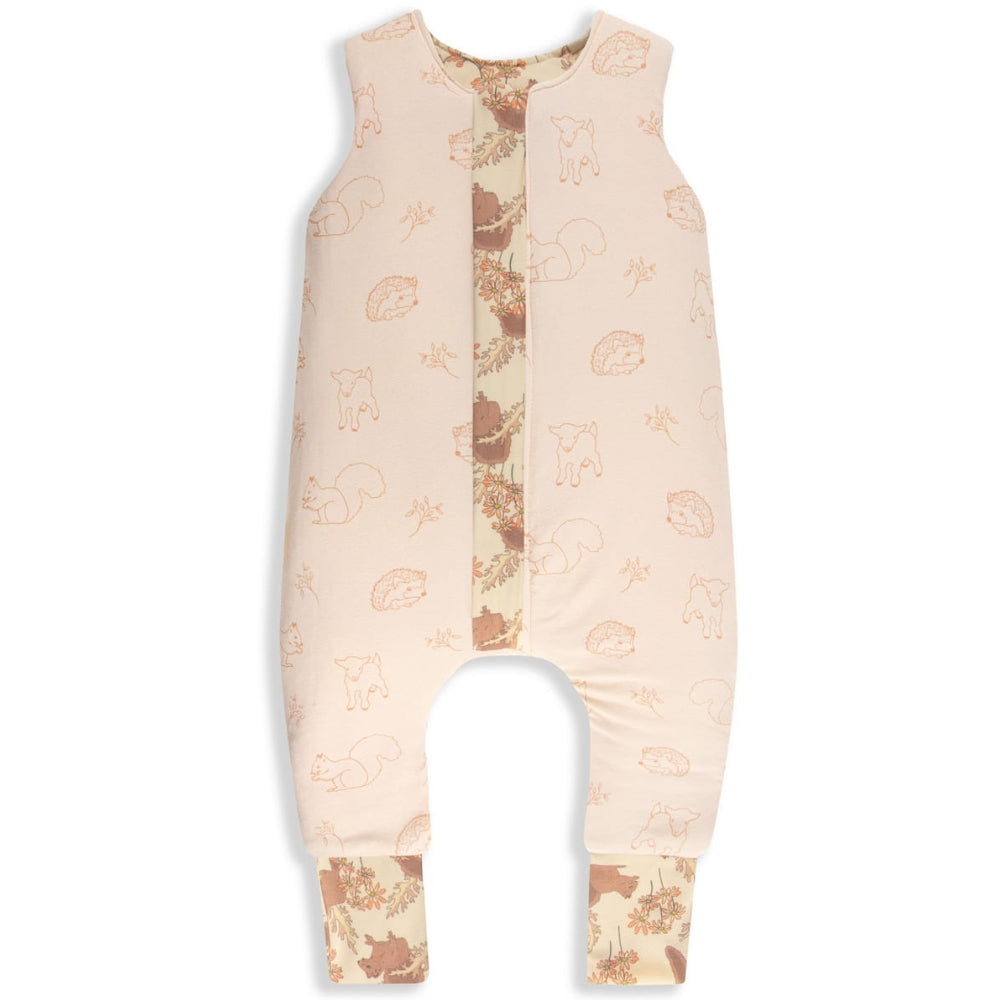 Slajd obrazu