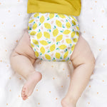 Bambino Mio Pieluszka wielorazowa Miosolo All-In-One Gentle Giant