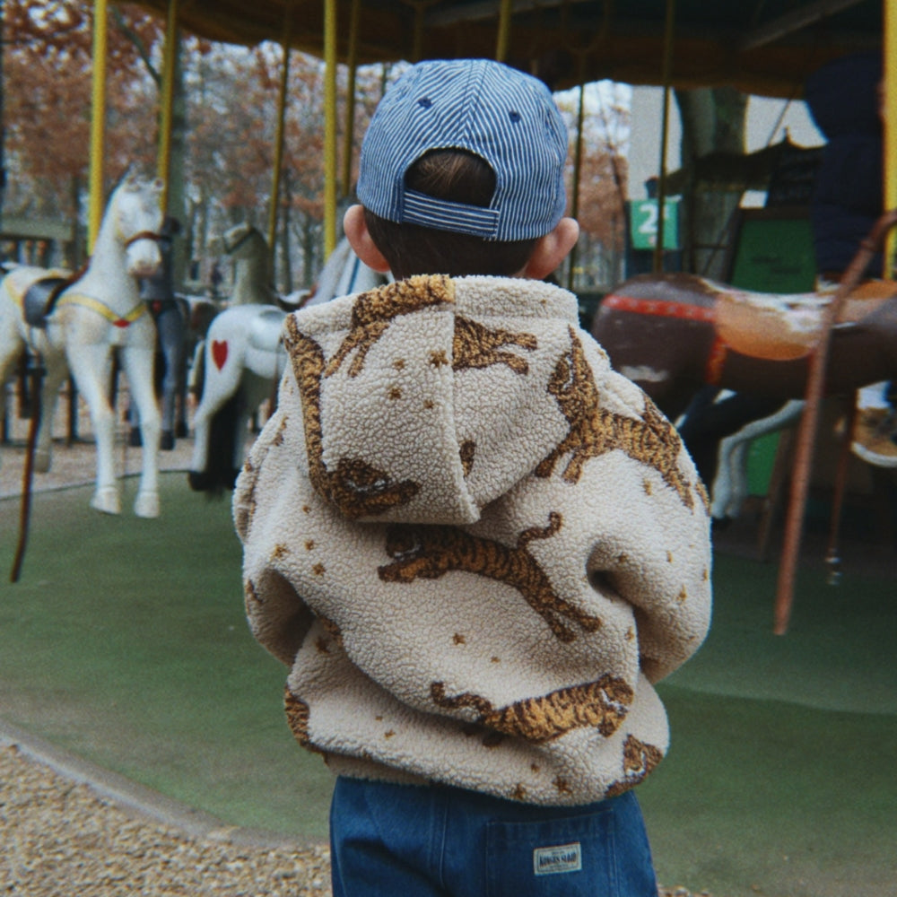 Slajd obrazu