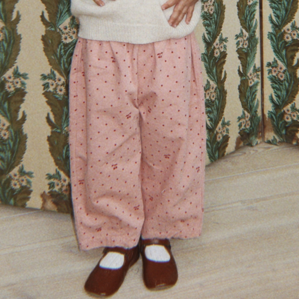 Slajd obrazu