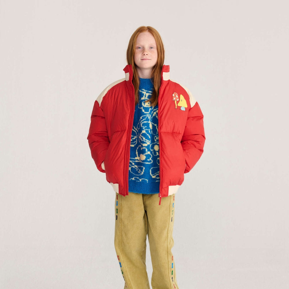 Slajd obrazu