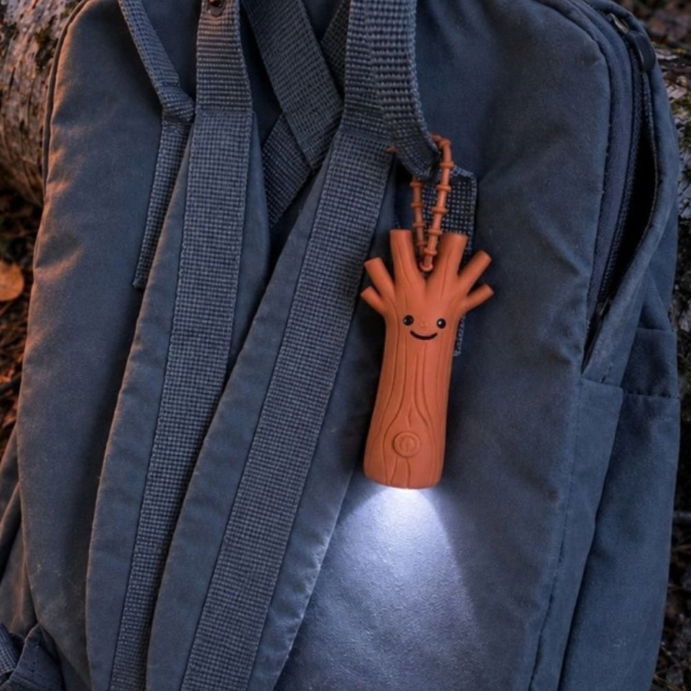 Slajd obrazu