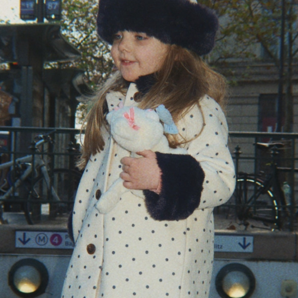 Slajd obrazu