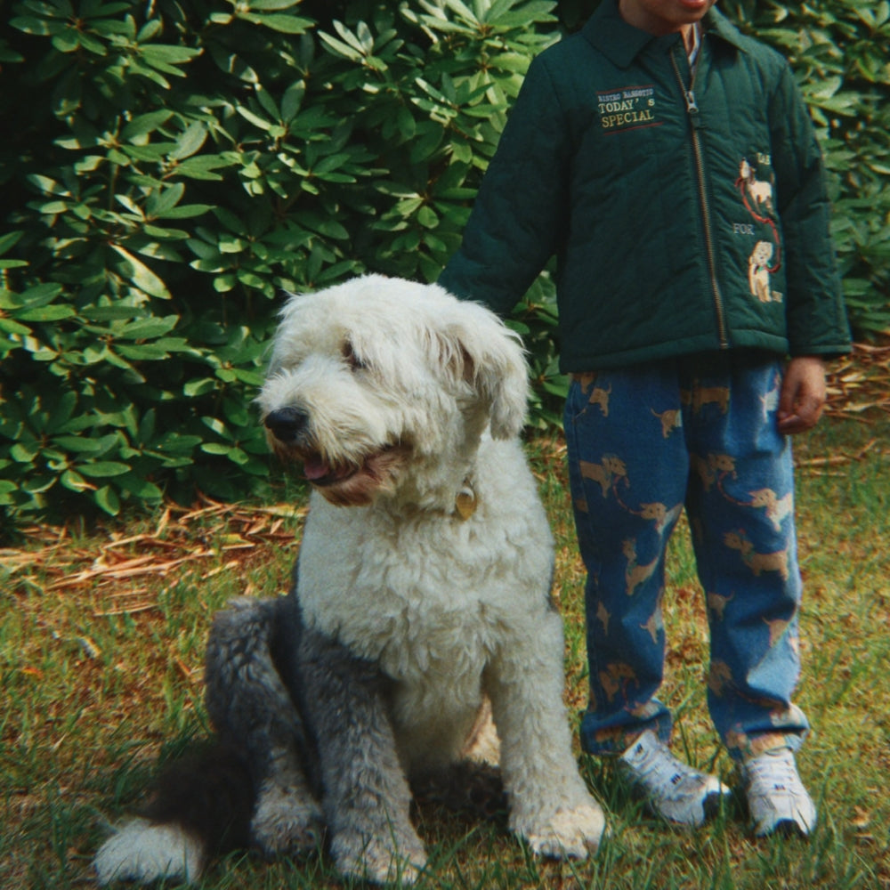 Konges Slojd Kurtka dla chłopca z kołnierzykiem Juno Pine Grove